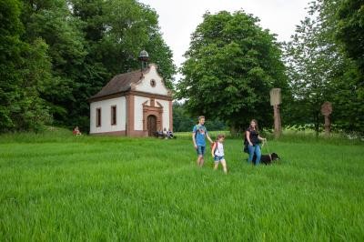 Spaziergang zur Stammbergkapelle