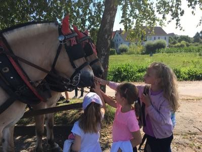 Kinder streicheln Pferde