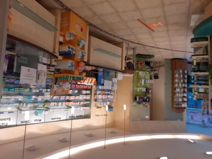 Bild: Karin Steinam Bild: Karin Steinam