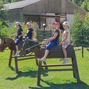 Pferdeerlebnishof Dölzer