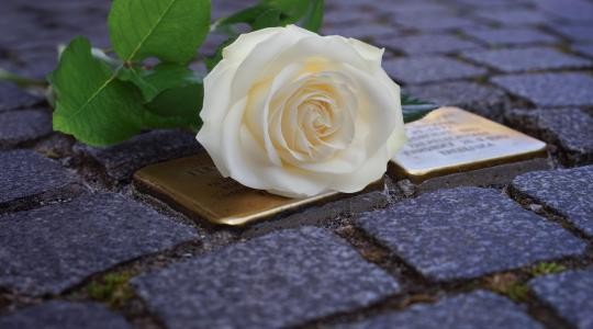 Stolpersteine©Stadtverwaltung Helga Hepp