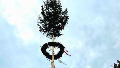 Maibaum©TBB_SabineMuench