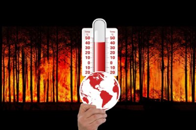 Hand die ein Thermometer hoch hält mit einer hohen Gradzahl. Im Hintergrund Bäume die in Flammen stehen.