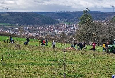 Wald in bester Aussichtslage Hochzeitswald