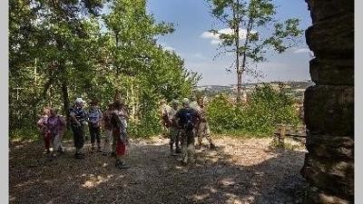 Wanderer des Spessartvereins bei Wanderung©Bernhard Burger Wanderer des Spessartvereins bei Wanderung©Bernhard Burger