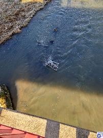 Einkaufswagen in der Tauber