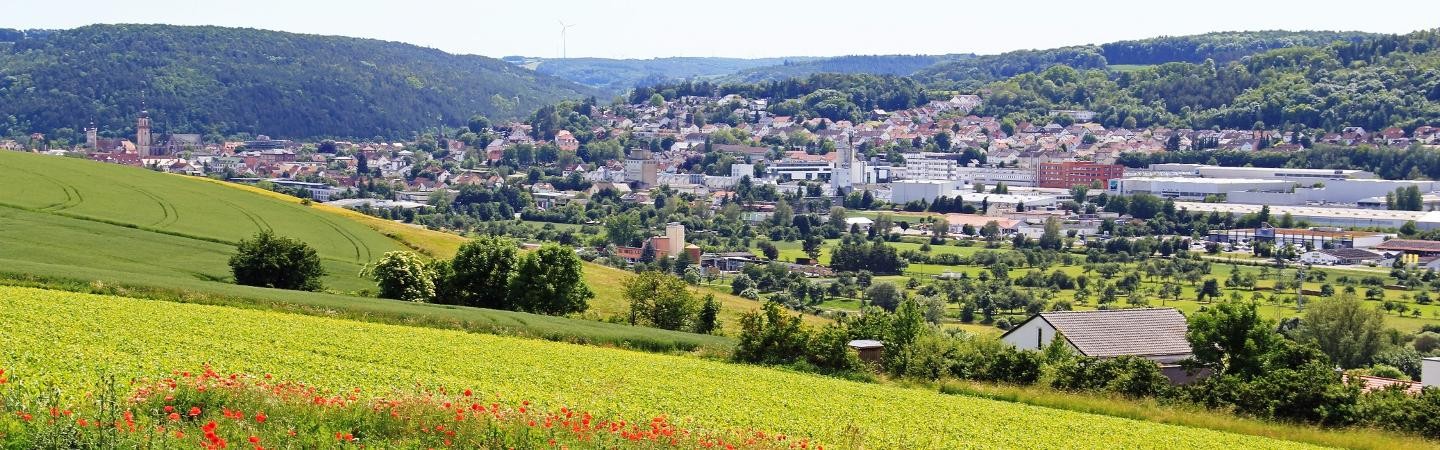 Ortsteil Impfingen Panoramablick auf den Ortsteil Impfingen