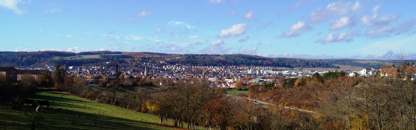 Herbst in Tauberbischofsheim herbstlicher Panoramablick auf Tauberbischofsheim