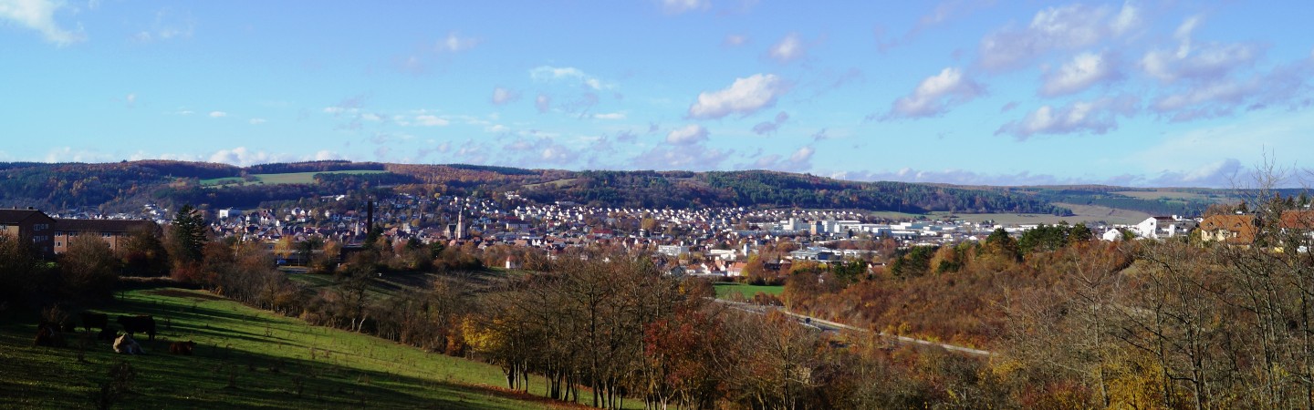 herbstlicher Panoramablick auf Tauberbischofsheim