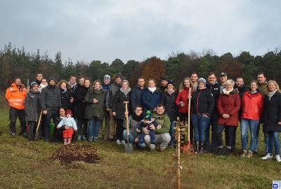 Hochzeitswald Hamberg